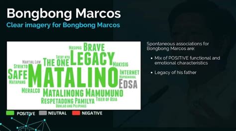 leni pntr leaks|Leaked report commissioned by Leni Robredo camp reveals .
